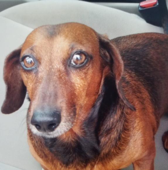 Meet your Posher, Jill - Picture 1 of 1